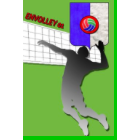 Envolley stéphanoise