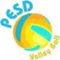 Lyon PESD Volley